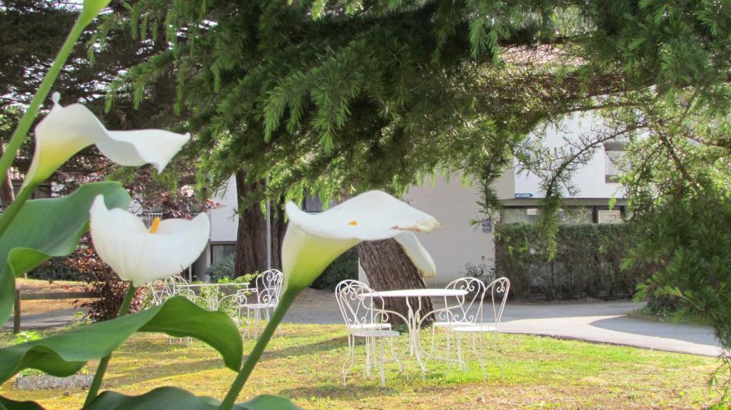 Arc En Ciel Oleron Hotell Saint-Trojan-les-Bains Exteriör bild